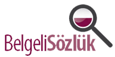 BELGELİ SÖZLÜK